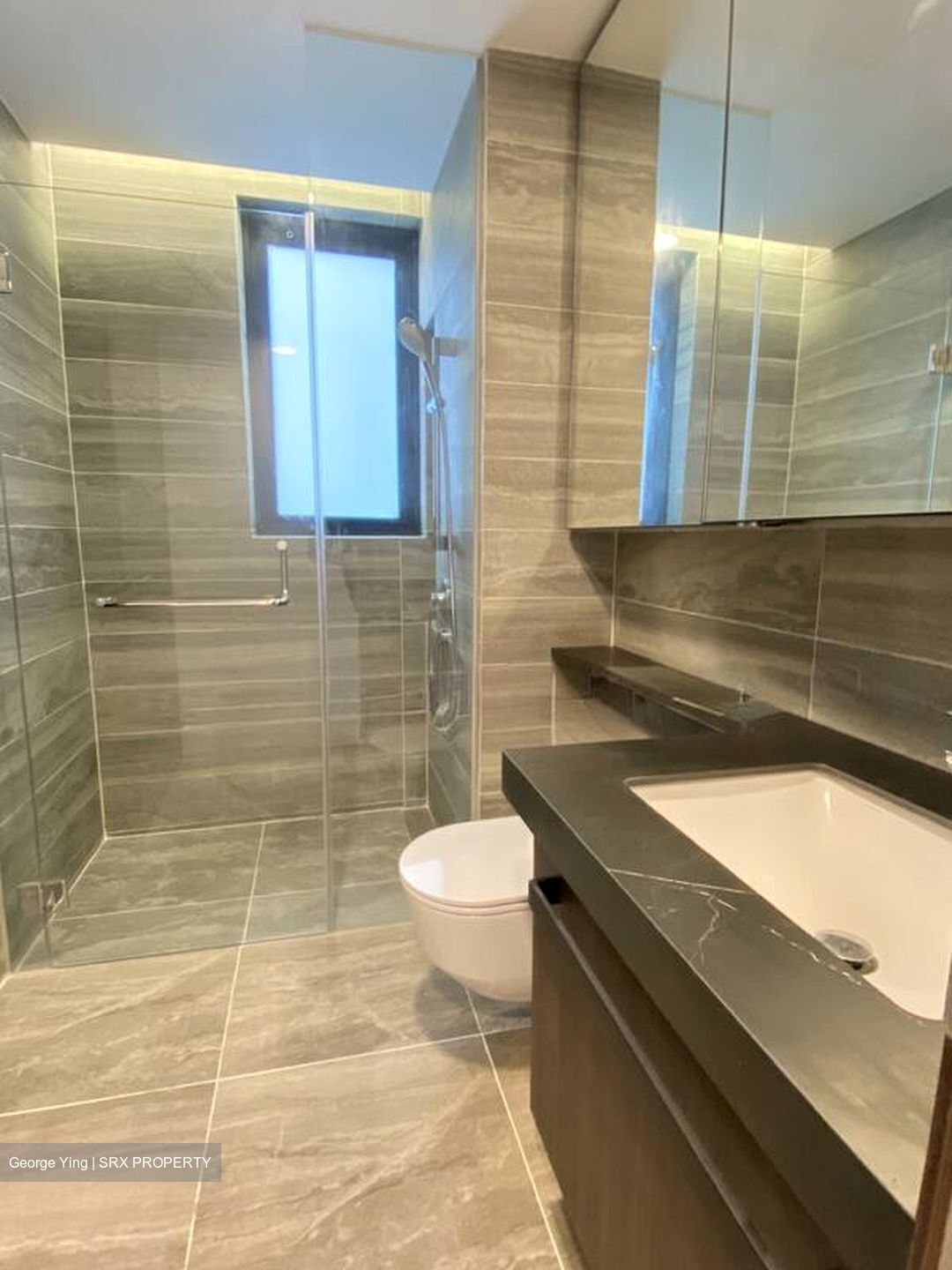 One Pearl Bank (D3), Apartment #499337361